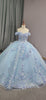 Sweet Baby Blue Appliqued Flower Bridal Gown